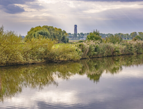 Onderhoudsbaggerwerken op de IJzer